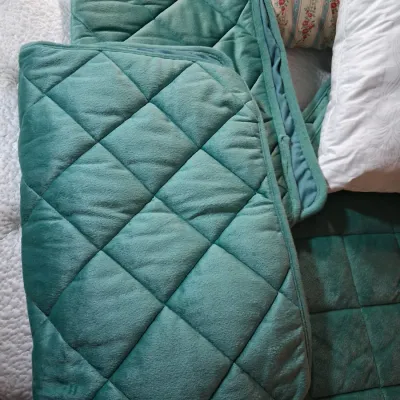 LIKE NEW SOFT QUILTED PLUSH QUEEN COMFORTER AND 2 FEATHER PILLOWS