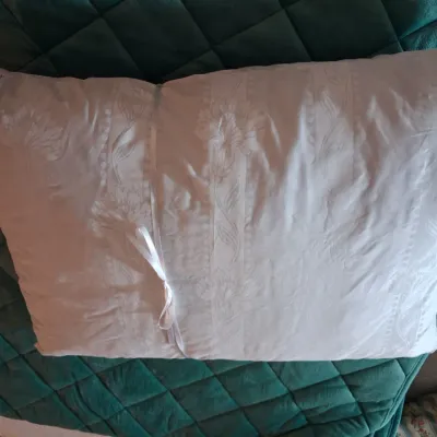 LIKE NEW SOFT QUILTED PLUSH QUEEN COMFORTER AND 2 FEATHER PILLOWS