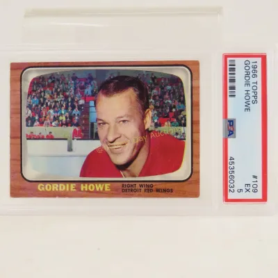 Sale Photo Thumbnail #87
