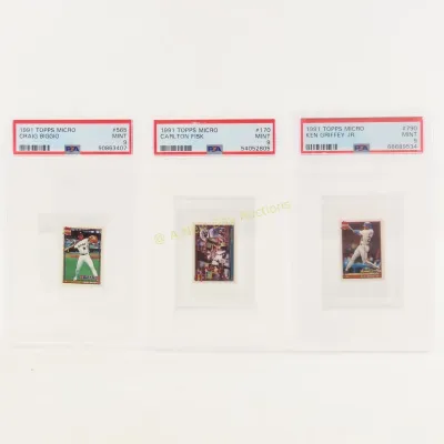 Sale Photo Thumbnail #276