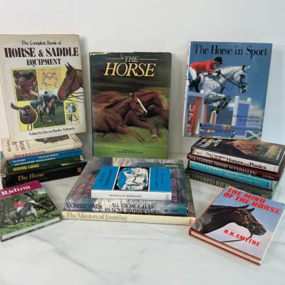 Sale Photo Thumbnail #230