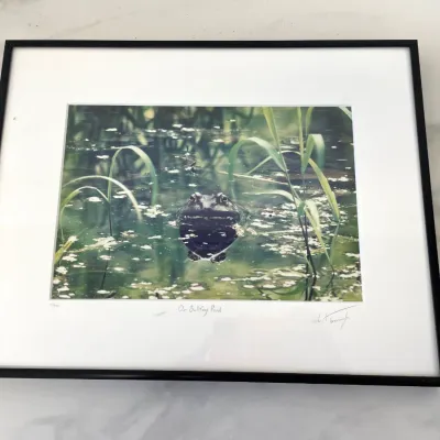 Sale Photo Thumbnail #342