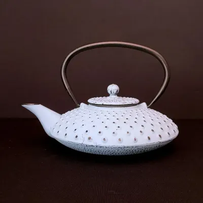 Japanese Tetsu Kyusu (Cast Iron Tea Pot)
