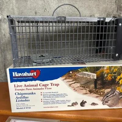 Sale Photo Thumbnail #166