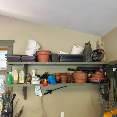 Sale Photo Thumbnail #477