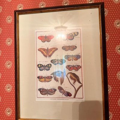 Sale Photo Thumbnail #105