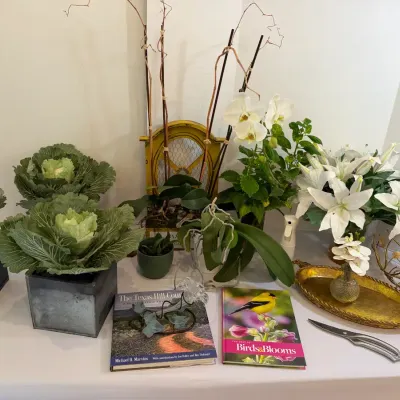 Real Orchids And Faux Decorative Plants