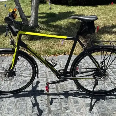 Beltway 8 Belt-Drive Bicycle – Shimano Alfine 8-Speed – 60cm Frame