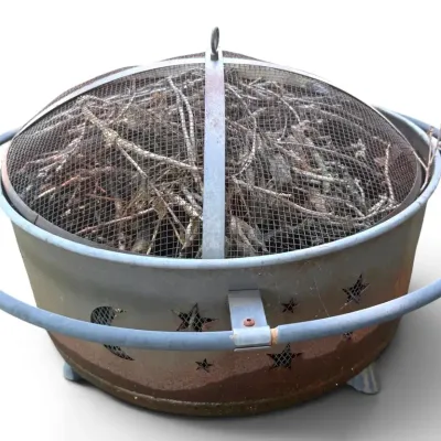Sunnydaze Cosmic Outdoor Wood-Burning Fire Pit
