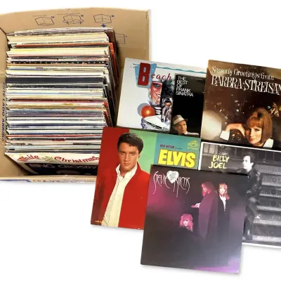 Mystery Vinyl Records - Stevie Nicks, Elvis, Billy Joel, & More