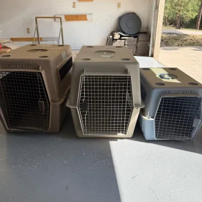 Sale Photo Thumbnail #324: This lot includes three pet kennels designed for safe and comfortable animal transport. The kennels feature sturdy plastic construction in neutral beige and gray tones, each equipped with metal mesh doors for ventilation and security. Sizes vary, with 2 o
