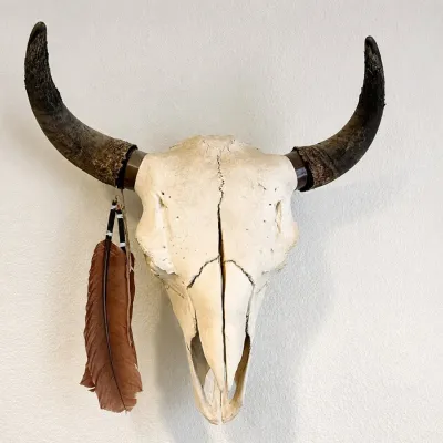 Sale Photo Thumbnail #18: This unique, genuine buffalo skull features natural weathered horns and is artistically decorated with natural feathers hanging from one side. Measuring approximately 23 inches by 21.5 inches, it presents a bold and rustic aesthetic perfect for southweste
