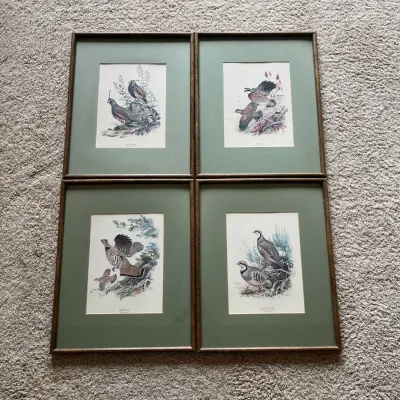 Sale Photo Thumbnail #91: Matched set of four vintage game bird lithographs by noted wildlife artist Ned Smith, each professionally framed under glass with coordinating green matting and wood-tone frames.

The set includes:

Mountain Quail – Oreortyx pictus
Bobwhite – Colinus 