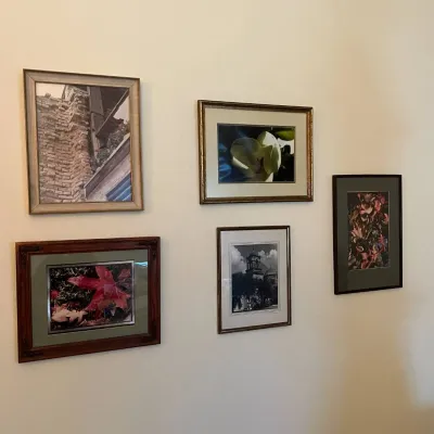 Sale Photo Thumbnail #107: Lot of five framed photographs featuring architectural, floral and nature subjects. The group includes a rustic stone architectural detail with flowers, two colorful autumn-leaf studies, a close-up white magnolia blossom, and a black-and-white photograph 