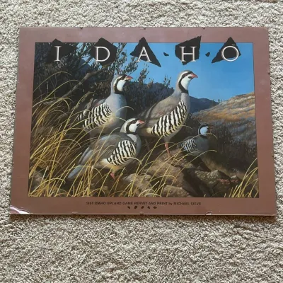 Sale Photo Thumbnail #84: This 1988 Idaho upland game permit print showcases a detailed and vivid depiction of chukar partridges in their natural habitat, illustrated by artist Michael Sieve. The print is framed with a brown matte border and features a natural outdoor scene with g