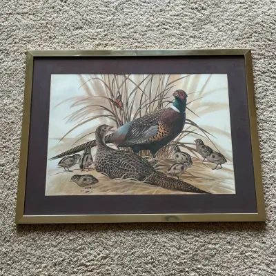 Sale Photo Thumbnail #90: Framed wildlife print depicting a ring-necked pheasant pair with their chicks nestled among tall grasses, with a butterfly above. The colorful male pheasant stands prominently behind the hen and young birds, creating a classic upland-game and sporting-art