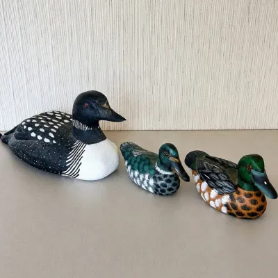 Sale Photo Thumbnail #6: Group of three hand-painted wooden waterfowl decoys featuring a large common loon and two smaller colorful duck decoys.

The standout piece is the larger hand-carved and painted loon, with detailed black-and-white plumage and red eye. The underside is per