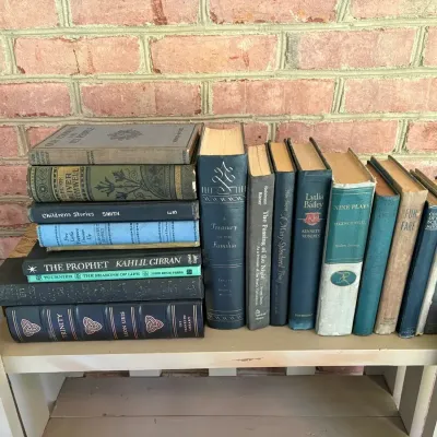 Vintage Hardbacks Blues and Greys Lydia Bailey, Trinity Resale Value Potentials In Photos 