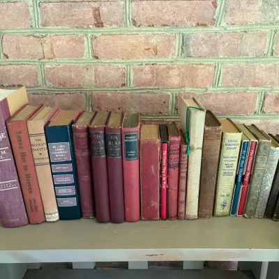 Red Brown and Gold Vintage Hardbacks
