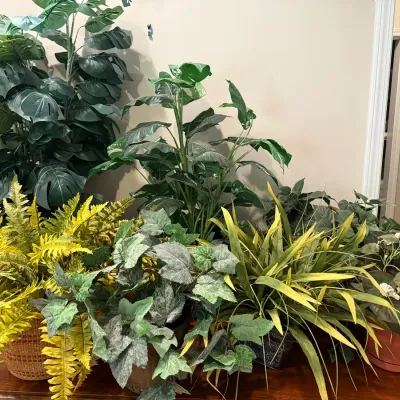 Artificial Plant Lot