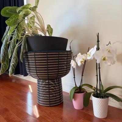 Bamboo Fused W Plastic Plant Stand & Plants Orchids - Diffenbachia & Orchid 