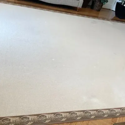 Extra Large Light Beige Area Rug