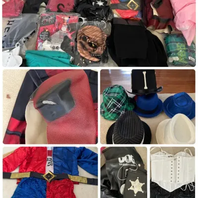 Adult Halloween Costumes Mystery Lot