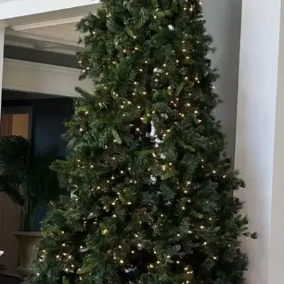 12 Foot Pre-lit Christmas Tree