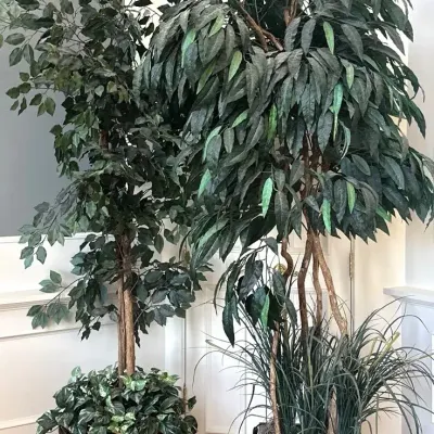 Large Faux Tree Pair (Vickerman Mango Bush And Ficus Tree)