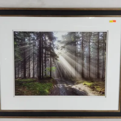 Sale Photo Thumbnail #91