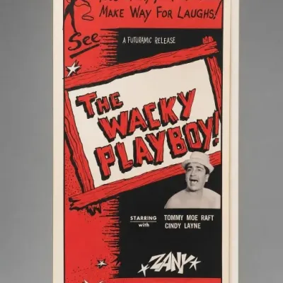 The Wacky Playboy Movie Poster
