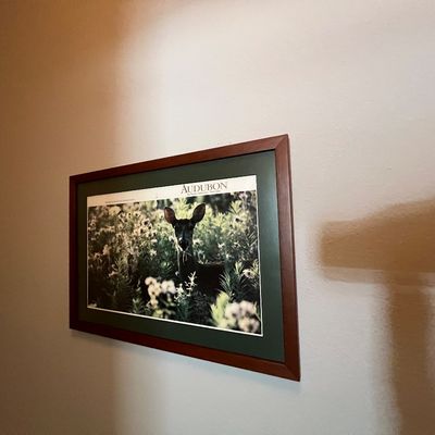 Sale Photo Thumbnail #81