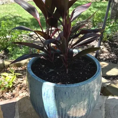 Large Ceramic Reactive Glazed Planter - Lot 2