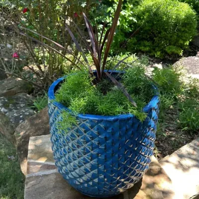 Large Blue Textured Ceramic Planter - Lot 2