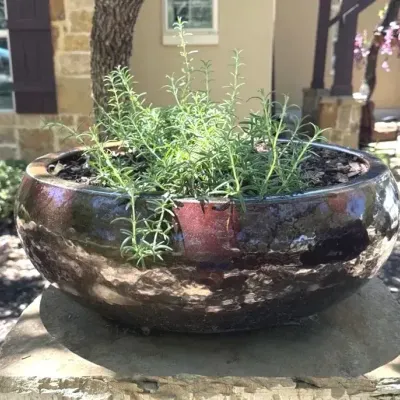 Wide Dark Brown pottery planter - Lot 1