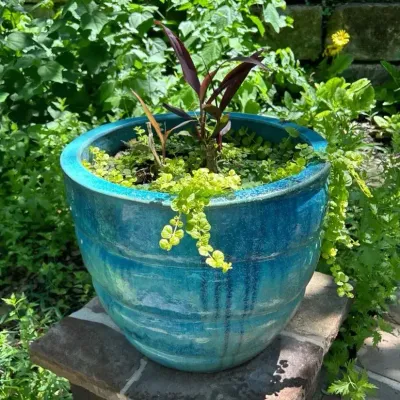 Blue Glazed Ceramic Planter - Lot 1