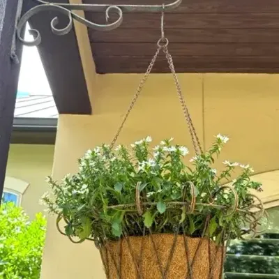 Rustic, metal plant holder and basket w/coco liner - Lot 3 
