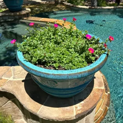 Vibrant Turquoise Ceramic Patio Planter - Lot 2