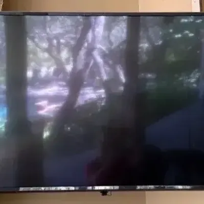 49" LG TV 49UJ6300