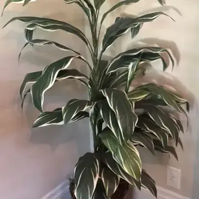 Cordyline Plant With Hammered Metal Pot High Quality Artificial 