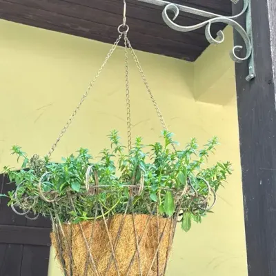 Rustic, metal plant holder and basket w/ coco liner - Lot 4