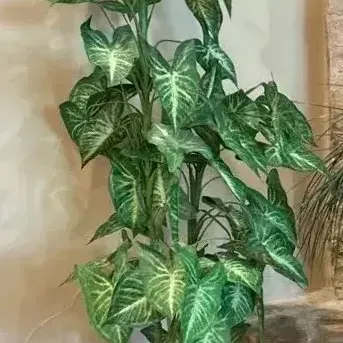 Artificial Plants With Metal Planters (2)