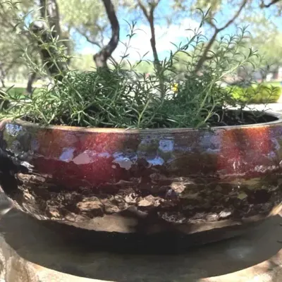 Wide dark brown pottery planter - Lot 2
