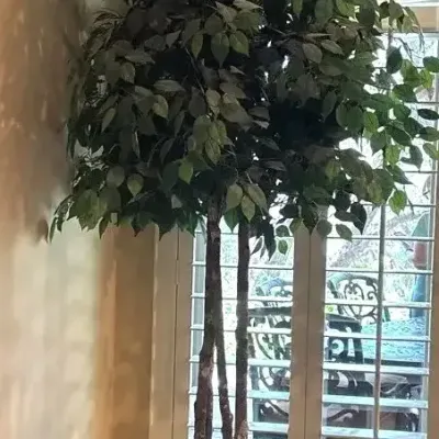 Artificial Tree Large With Metal Planter 