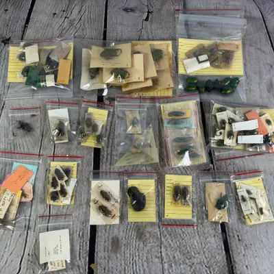 Sale Photo Thumbnail #165