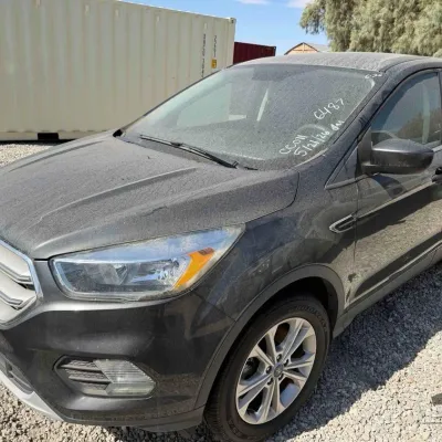 Sale Photo Thumbnail #20: 175 2019 ford escape