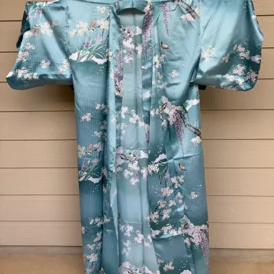 Traditional Japanese Hōmongi Kimono, Semi-Formal