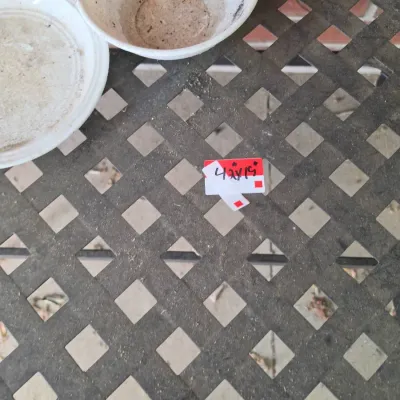 Sale Photo Thumbnail #583