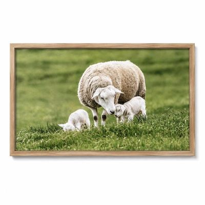 Sale Photo Thumbnail #213