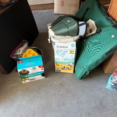 Dog accessories 